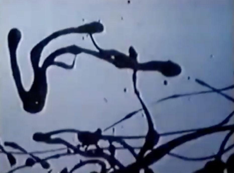 <ol start="1951"><li><p>Film showing Pollock’s action painting process; emphasises movement, performance, and the artist’s body.</p></li></ol><p></p>