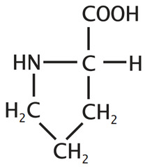 <p>amino group</p>