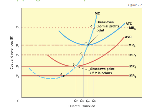 <p>Why is the normal profit there </p>
