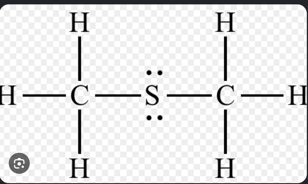 <p>S atom connected to 2 carbons by single bonds</p>