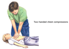 <p>1/3 diameter of chest or 2 inches (5 cm)</p>