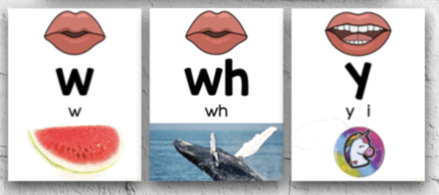 <p>when making these sounds, they glide into vowels</p><p>/h/ /w/ /y/</p>