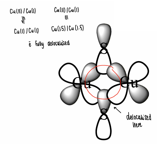 <p>The electrons are fully delocalised around the Cu2S2 core part of the active site, therefore electron transfer is rapid.</p>