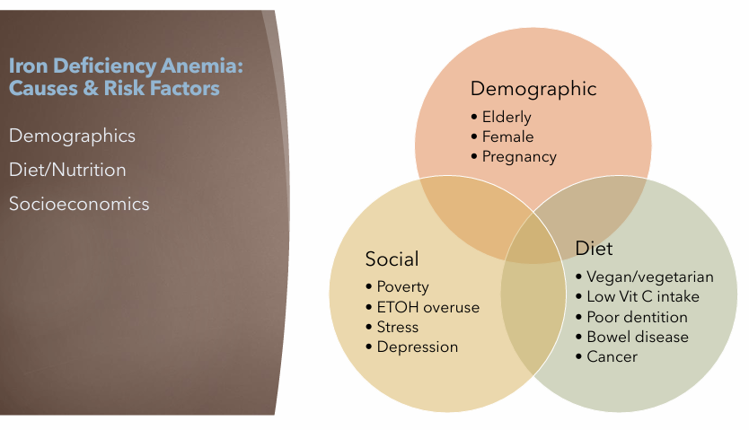 <p><strong>Demographic</strong></p><ul><li><p>Elderly</p></li><li><p>Female</p></li><li><p>Pregnancy</p></li></ul><p><strong>Diet</strong></p><ul><li><p>Vegan/vegetarian</p></li><li><p>Low Vit C</p></li><li><p>Poor dentition</p></li><li><p>Bowel disease</p></li><li><p>Cancer</p></li></ul><p><strong>Social</strong></p><ul><li><p>Poverty</p></li><li><p>ETOH overuse (Alcohol overuse)</p></li><li><p>Stress</p></li><li><p>Depression</p></li></ul><p></p>