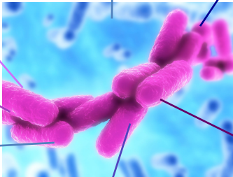 <p>6 (or 7) klebsiella pneumoniae fax</p>