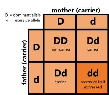 <p>Since you are effectively self-fertilizing (as the genotypes of family members are similar), you increase the likelihood of expressing diseases</p>