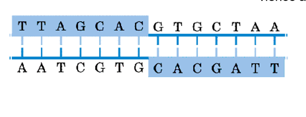 <p>vienodai skaitosi iš abiejų galų</p>