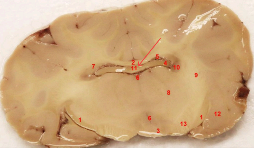 <p>what area is this</p>