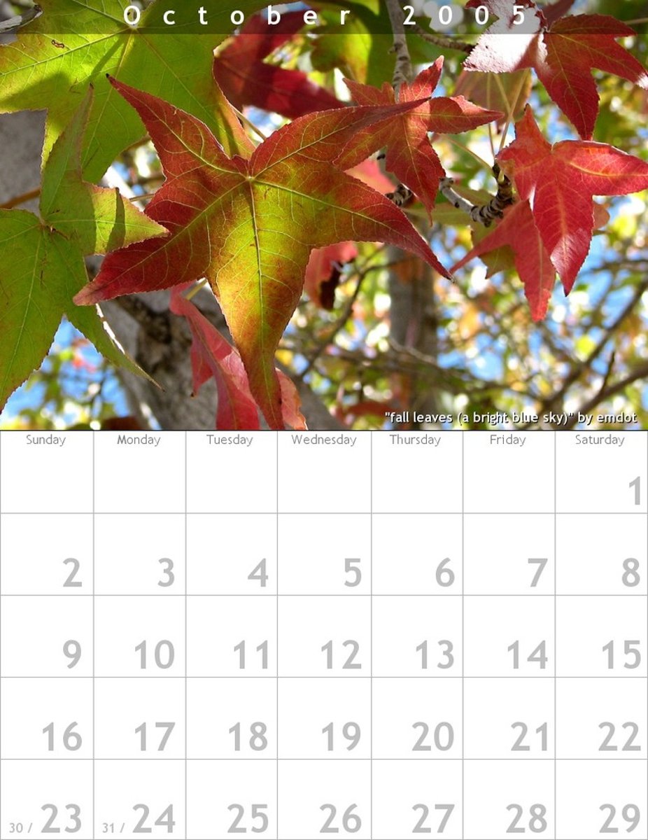 <p>month</p>