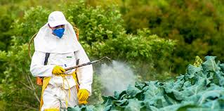 <p><span>pesticide</span></p>