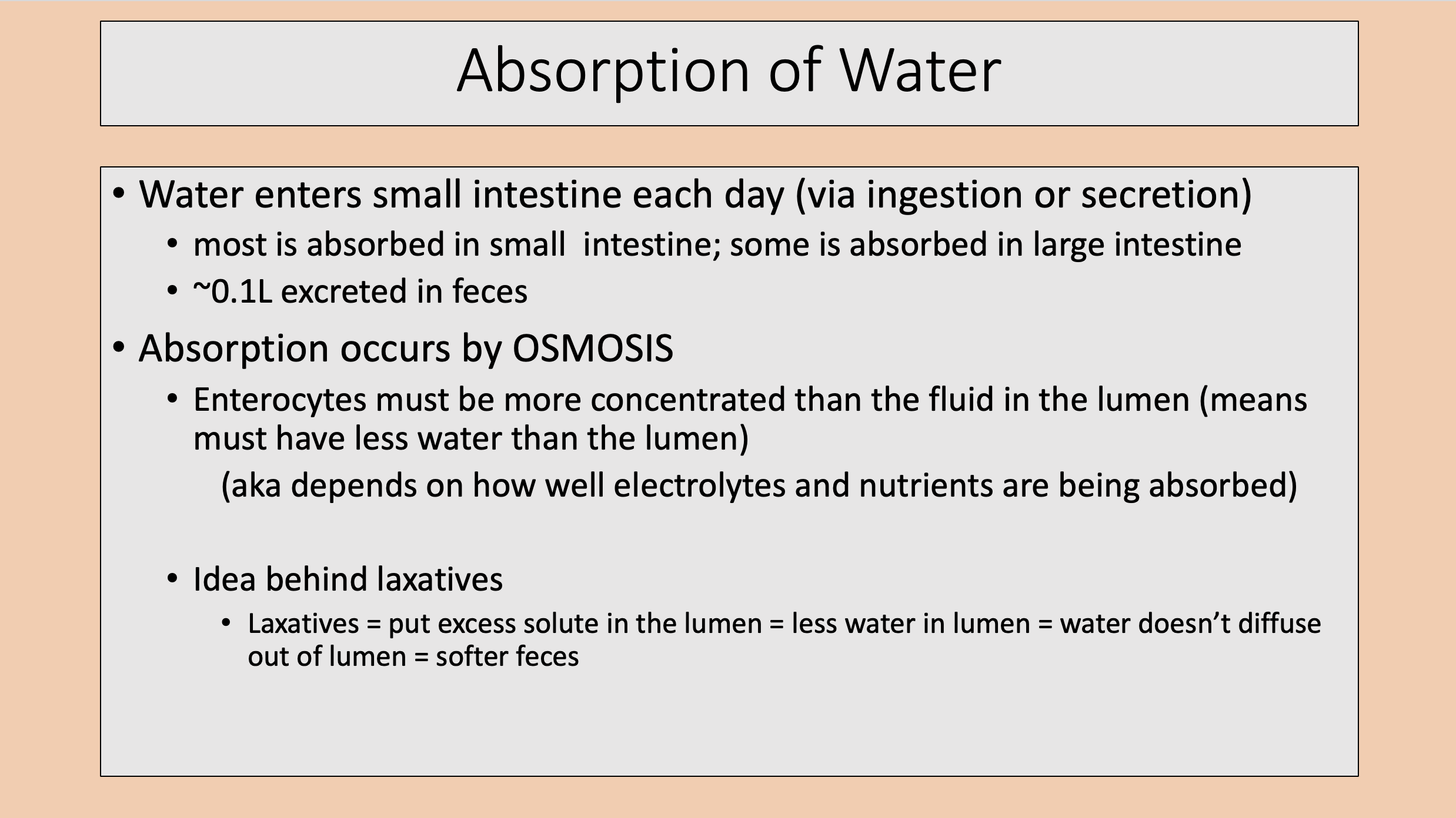 <p>absorption of water</p>