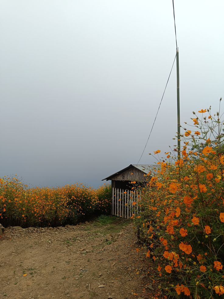 <p><span style="background-color: transparent;">How’s the weather in Bien Hoa during the dry season?</span></p>