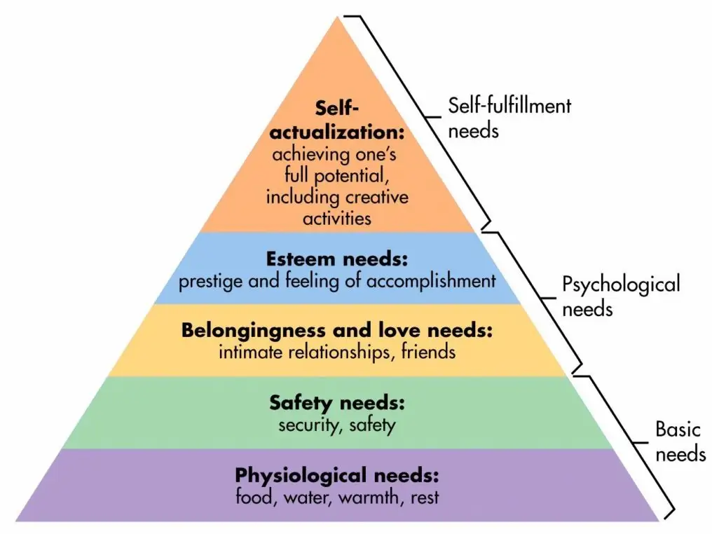 <p>pyramid of needs that have the most important needs at the bottom, and least important at the top</p>