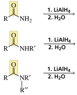<p>Reaction of an amide with lithium aluminum hydride forms…</p>