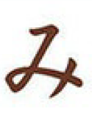 term image