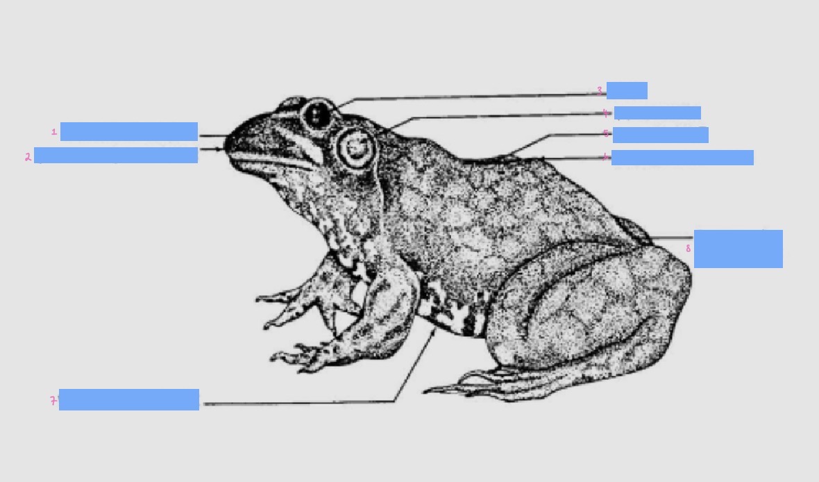 <p>1</p>