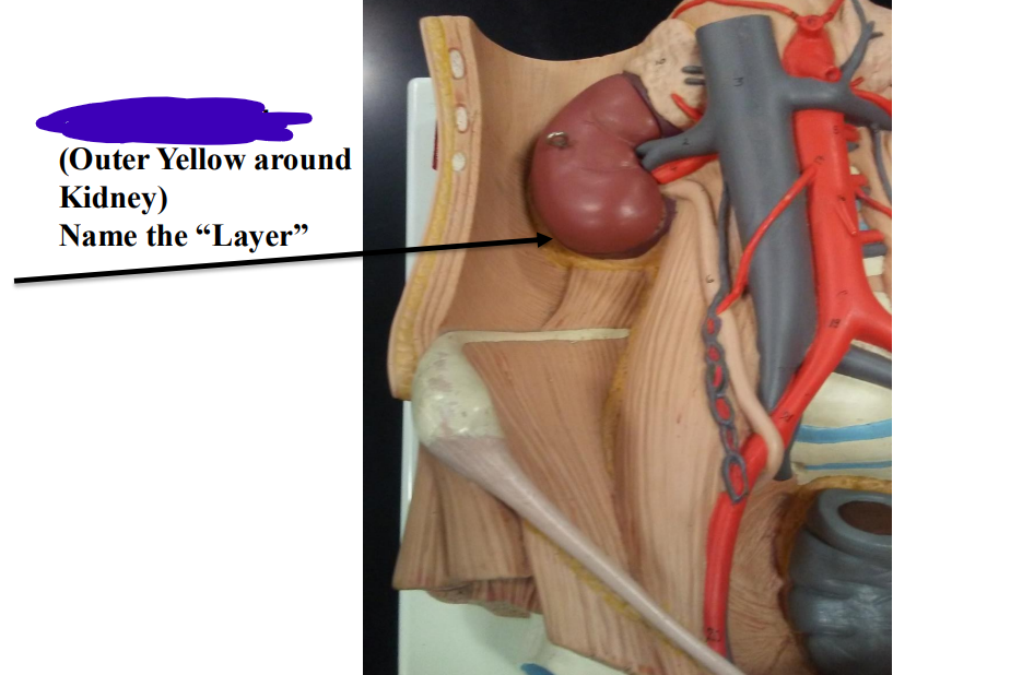 <p>Name the layer</p>