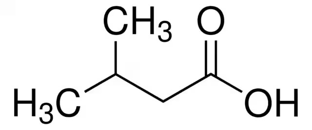 <p>acid 3-metilbutanoic</p>