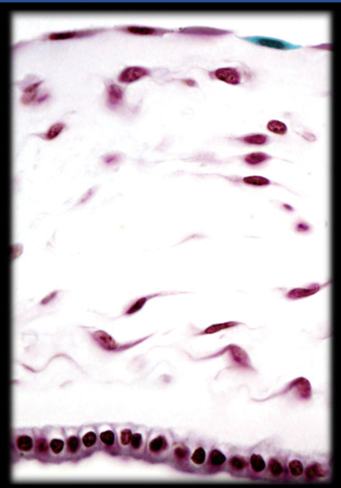 <p>What is highlighted</p>