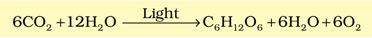 <p>The oxygen released comes from which of the two substrates?</p>