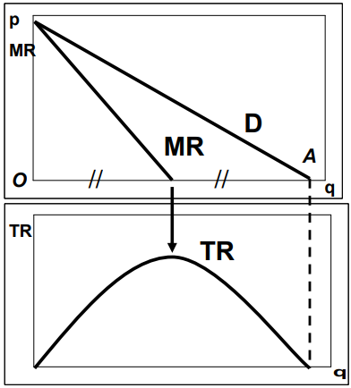 <ul><li><p>demand curve = price</p></li><li><p>MR downward sloping (MR curve hits horizontal axis between O and A) </p></li><li><p>TR is maximal when MR = 0</p><ul><li><p>this is not maximum profit </p></li></ul></li></ul><p></p>
