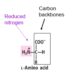 knowt flashcard image