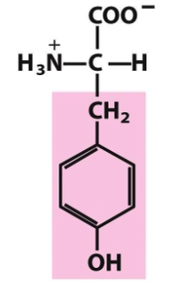 <p>What structure is this? And what group does it fall under?</p>