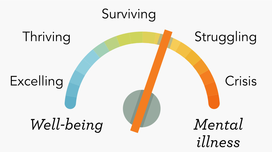 <p>Well-Being = experiencing an absence of mental illness</p><ul><li><p>Excelling = mental wellness… absence of mental illness symptoms</p></li><li><p>Thriving = stress does not cause significant daily impairment</p></li><li><p>Surviving = not a state of distress, but may need action… feel “on edge”</p></li><li><p>Struggling = significant struggle, worry and misery on daily… worthlessness</p></li><li><p>Crisis = severe clinical manifestations of mental illness + disruption of functioning</p></li></ul><p>Mental Illness = difficulty functioning</p>