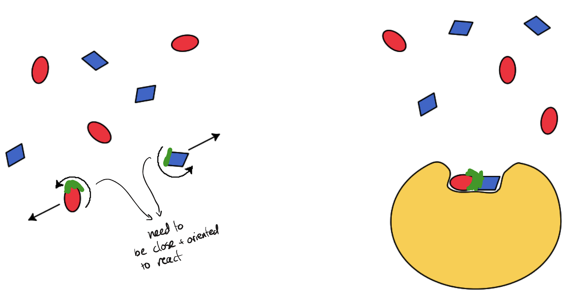 <p>Placing substrate molecules closely enough together encourages them to bind to each other easier and faster. In addition, specific molecules may only have one reactive area (due to functional groups etc.) that needs to collide with other substrate molecules to react, so orienting them correctly speeds up the reaction thousand-fold</p>
