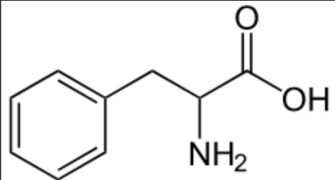 <p> </p>