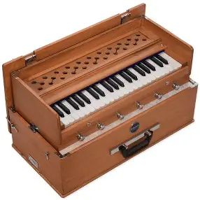 <p>most common accompaniment instrument</p>
