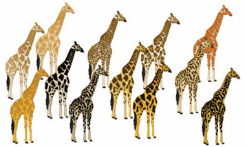 <p><span><span>Variation</span><span><br></span><span>/ˌveəriˈeɪʃn/</span><span><br></span><span>Traffic variation impacts server capacity planning.</span></span></p>