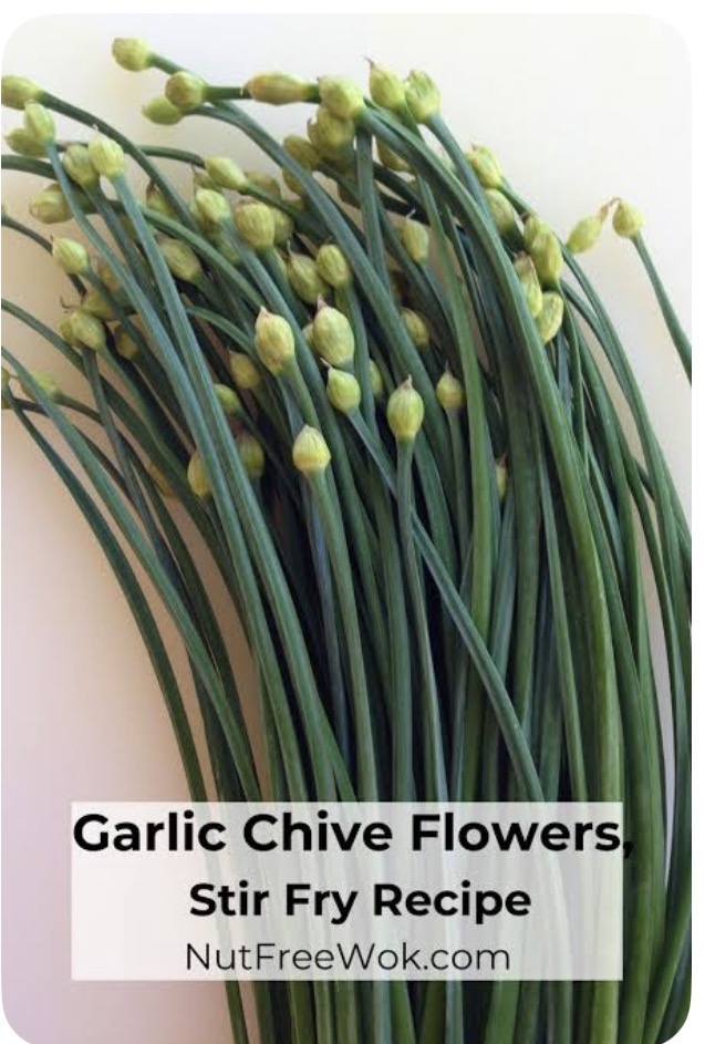 <p>Flowering chive bud</p>