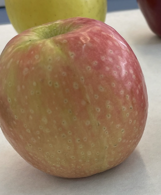 <p>manzana pink lady</p>