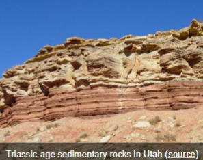 <p>formed by the accumulation and cementation of sediment at the Earth's surface</p><p>fossils most found here, and best place to find them</p>