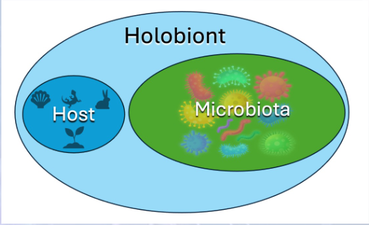 <p>A collection of species that have complex interactions, together forming a discrete ecological unit</p>