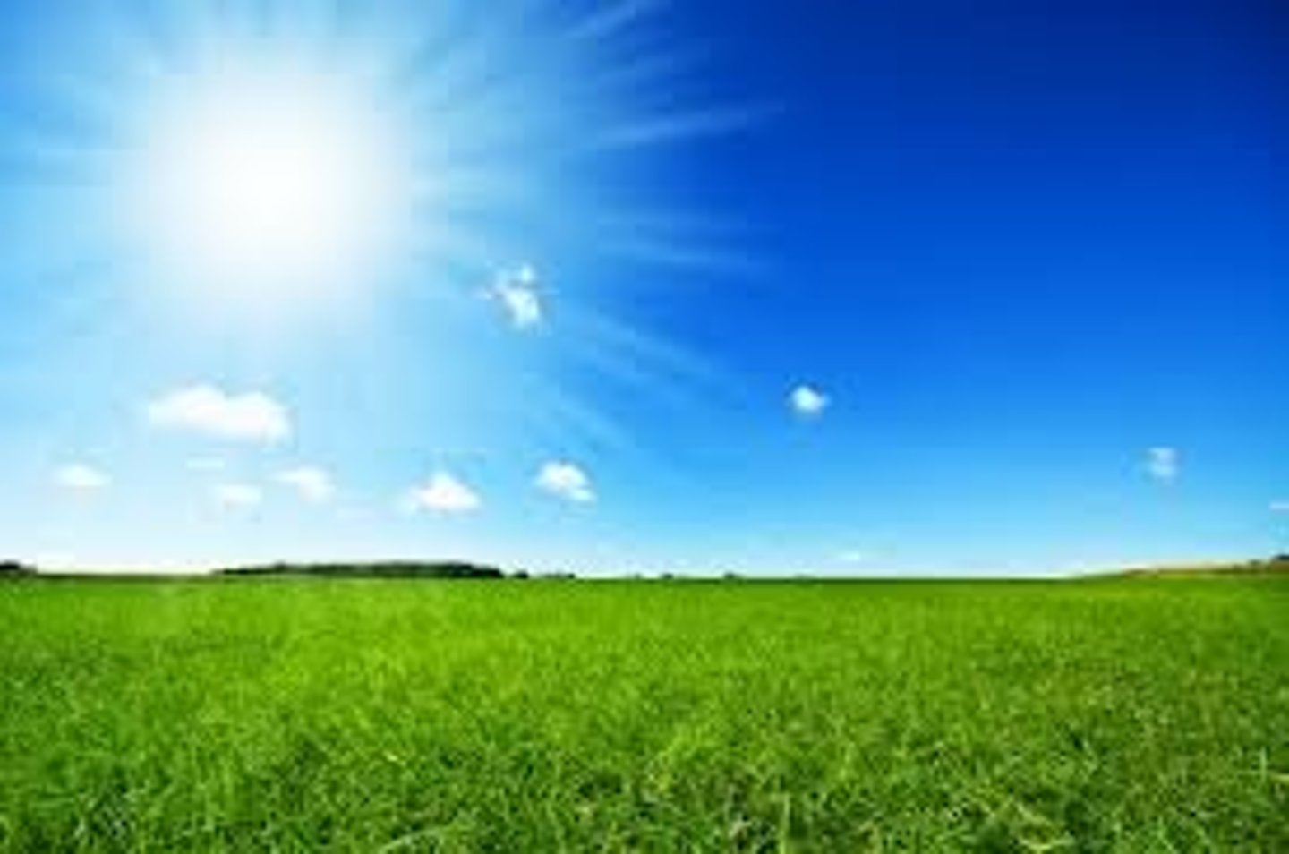 <p>It's sunny, it is going to be sunny</p>