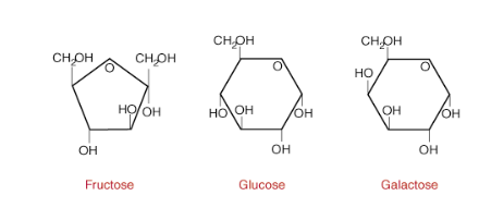 <p>If the molecular formula of glucose, fructose,</p><p>and galactose is C6H12O6, what are these molecules</p><p>called? How do we tell them apart?</p>