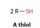 <p>thiols → disulfide and reverse rxn</p>