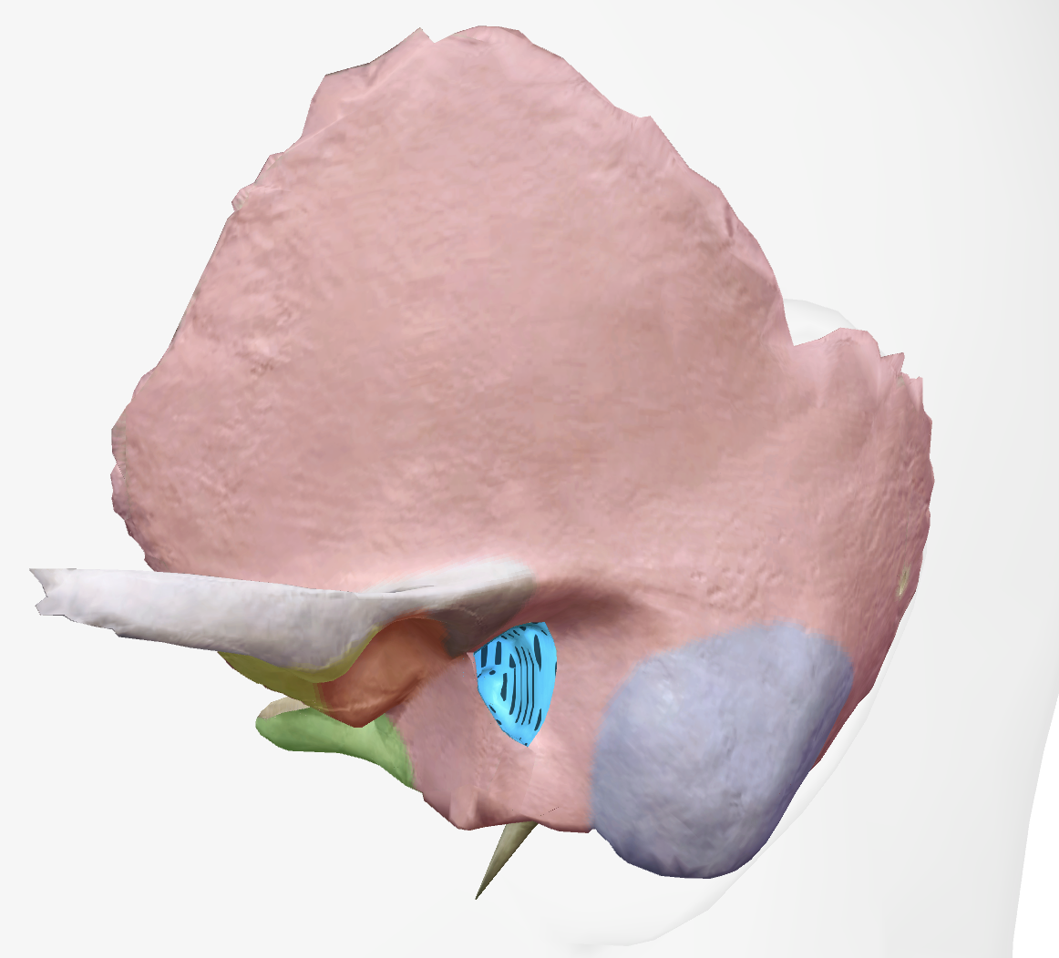 <p></p>