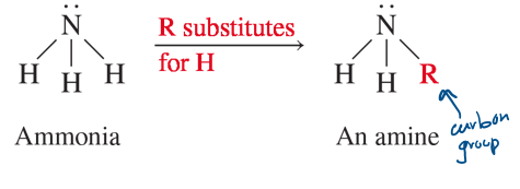 <p>based off of ammonia, if you replace at least 1 H with an R-group (C-group)</p>