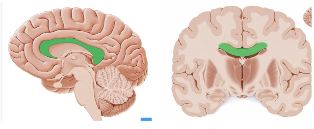<p></p>