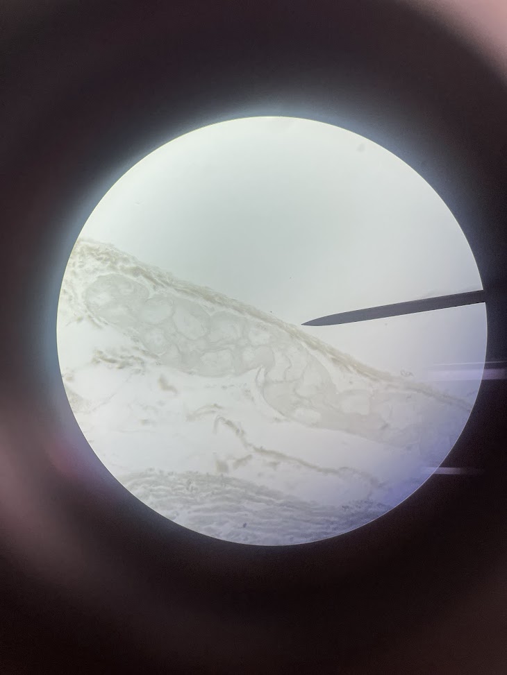 <p>structure name + layer name</p>