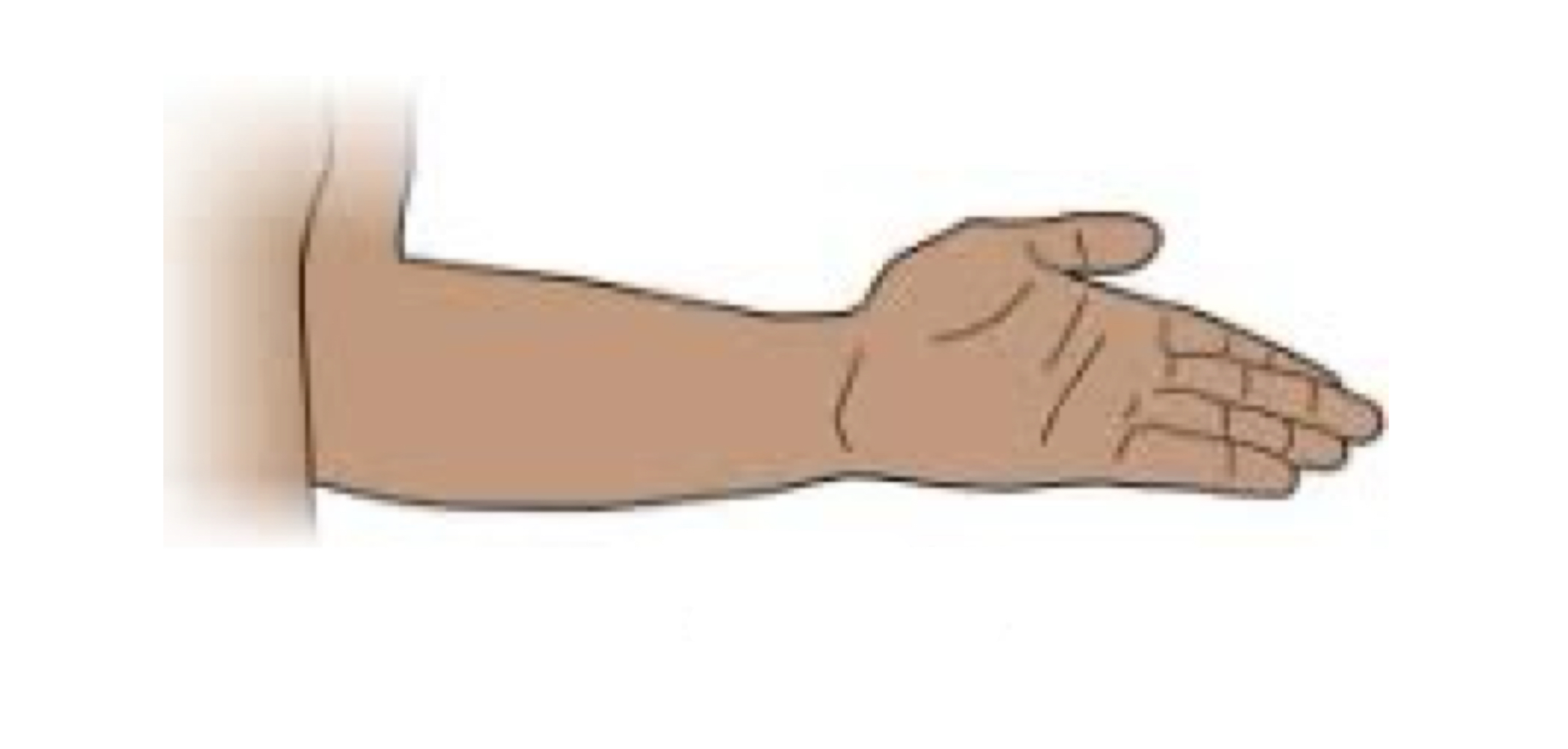 <p>name the muscle action</p>