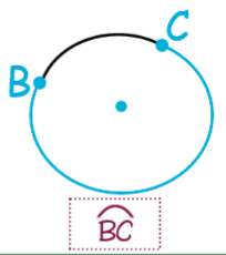 <p>An arc that is smaller than a semicircle.</p>