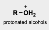<p>protonated alcohols</p>