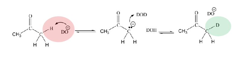 <p>→The high acidity of alpha H’s implies theyre replaceable with H’s or D’s from solvent</p>