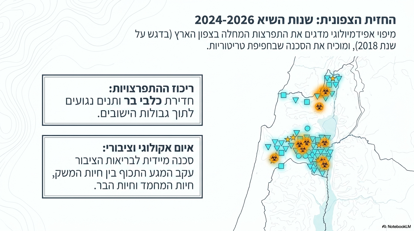 <ul><li><p>כפי שניתן לראות במפת המעקב הגיאוגרפית שצירפת, השנים 2014-2026 היו שנים קשות מאוד לכלבת בצפון הארץ, כאשר שנת השיא הקשה ביותר הייתה 2018.</p></li><li><p><strong>פרוטוקול מניעה וחיסונים:</strong></p><ol><li><p><strong>חיסון חיות בית:</strong> חובת חיסון לכל הכלבים, והמלצה חמה לחתולים שיוצאים מהבית.</p></li><li><p><strong>חיסון אוכלוסיות בסיכון:</strong> חיסון של אנשים וצאן הבאים במגע עם בעלי חיים (בעיקר חיות משוטטות).</p></li><li><p><strong>חיסון אוכלוסיית הבר:</strong> פיזור חיסונים אוראליים לחיות בר (אם כי קיימות שאלות לגבי עלות מול יעילות).</p></li></ol></li><li><p><strong>שליטה באוכלוסיות ובידוד:</strong></p><ol><li><p>סילוק חיות משוטטות הנעות בין מעגל הבר לבית.</p></li><li><p><strong>הסגר וחיסון חשודים:</strong> בעלי חיים שנחשדו במגע עם חיה חולה נכנסים למעקב והסגר של חצי שנה.</p></li><li><p><strong>הסגר לנשכנים:</strong> בעלי חיים שנשכו אדם או חיה אחרת מוכנסים ל<strong>הסגר של 10 ימים</strong>; אם הם היו בשלב מפריש ומדביק בזמן הנשיכה, הם צפויים למות במהלך ימי ההסגר הללו</p></li></ol></li></ul><p></p>