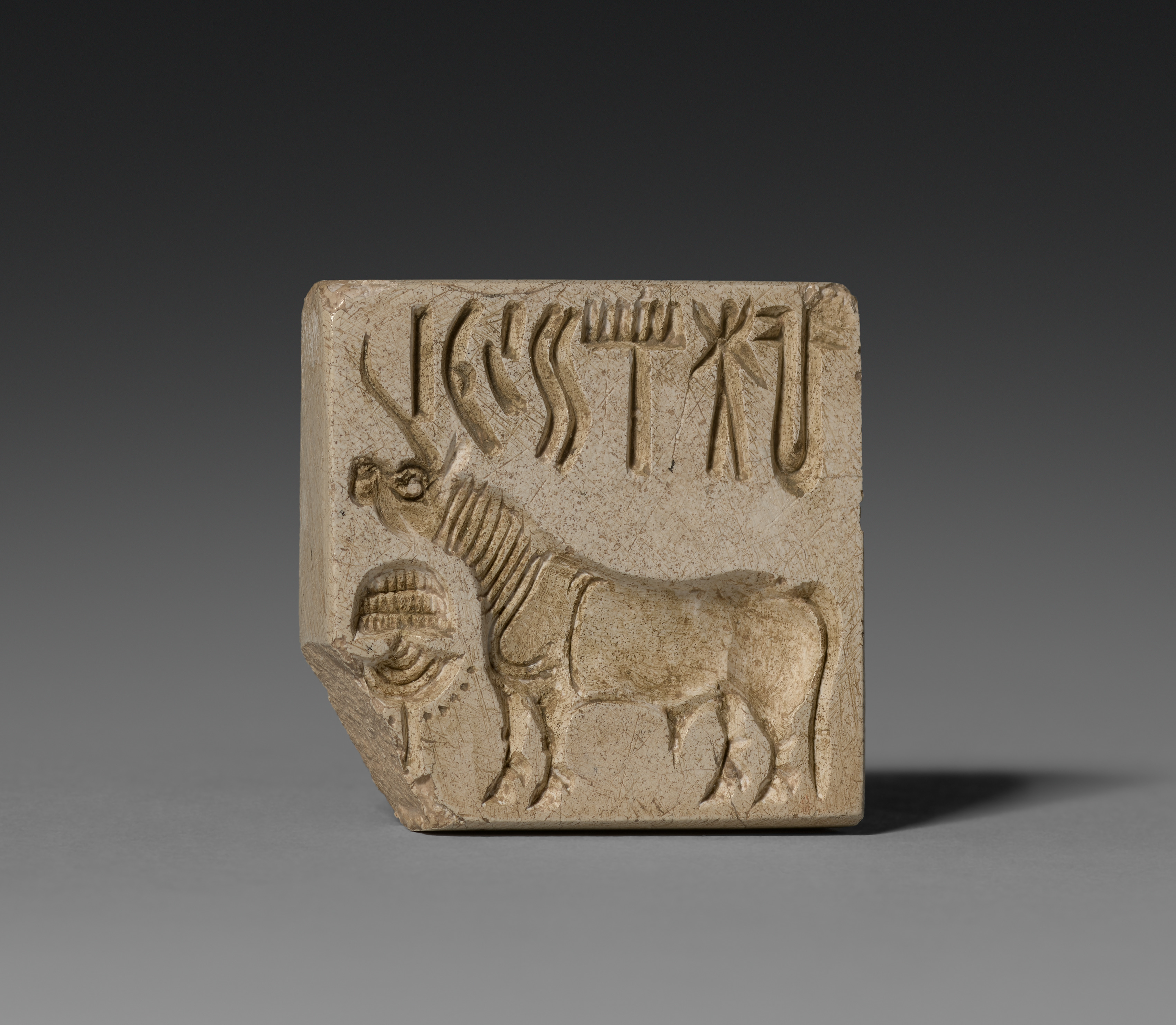 <ul><li><p>The Harappan seal</p></li><li><p>Made of stone called <strong>steatite</strong></p></li><li><p>Contained <strong>animal </strong>motifs and <strong>signs</strong></p></li><li><p>The script remains undecipherable </p></li></ul><p></p>