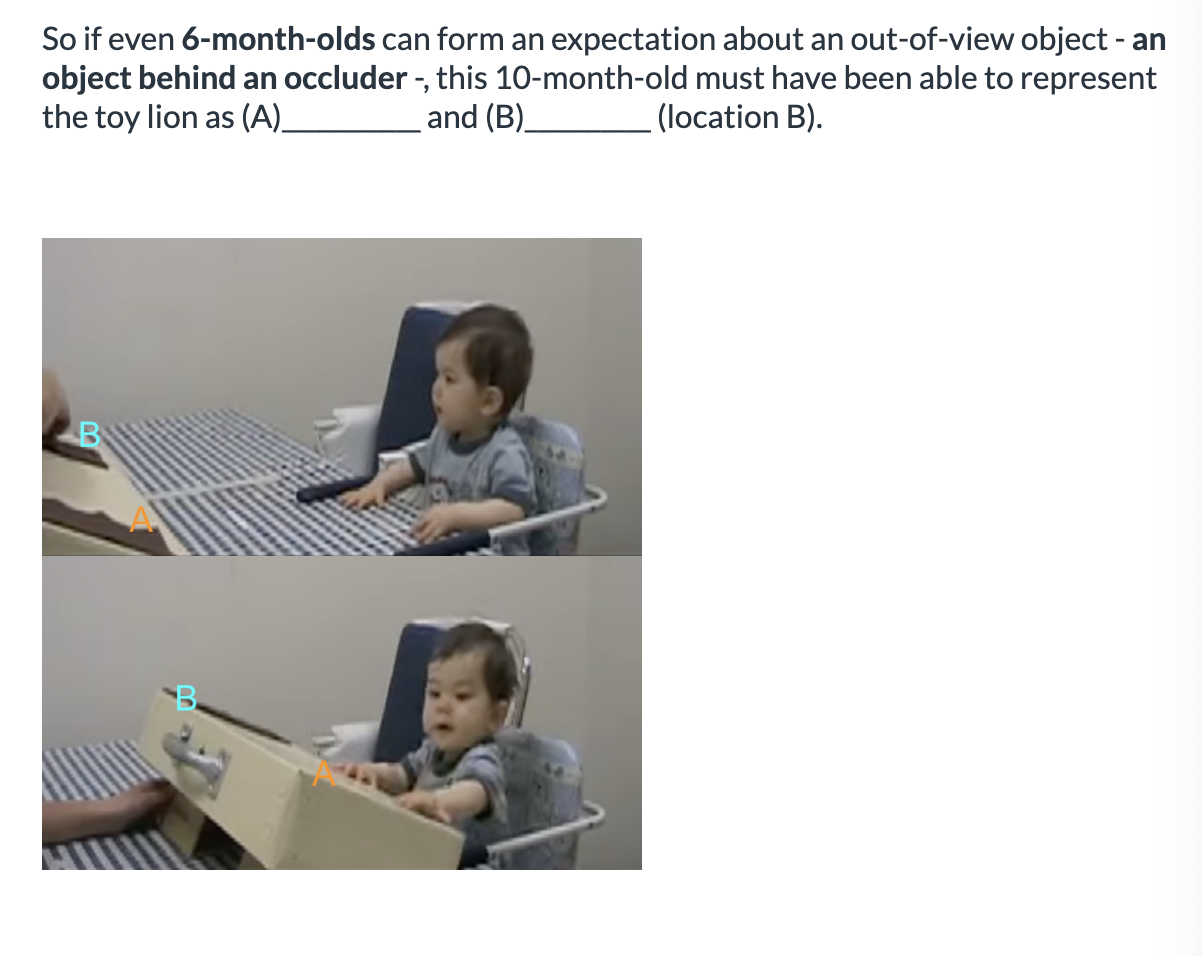 <ol><li><p><span>(A) transient (B) recall the memory of its previous location&nbsp;</span></p></li><li><p><span>(A) permanent (B) track its movement to the new location</span></p></li><li><p><span>BOTH</span></p></li></ol><p></p>